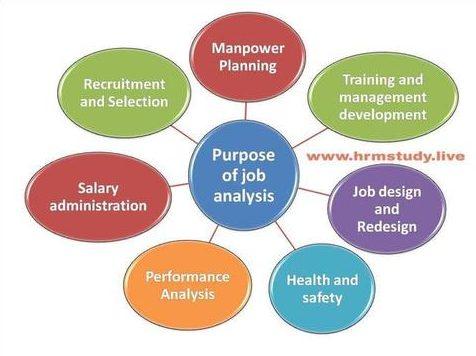 Informative graph of a job analysis